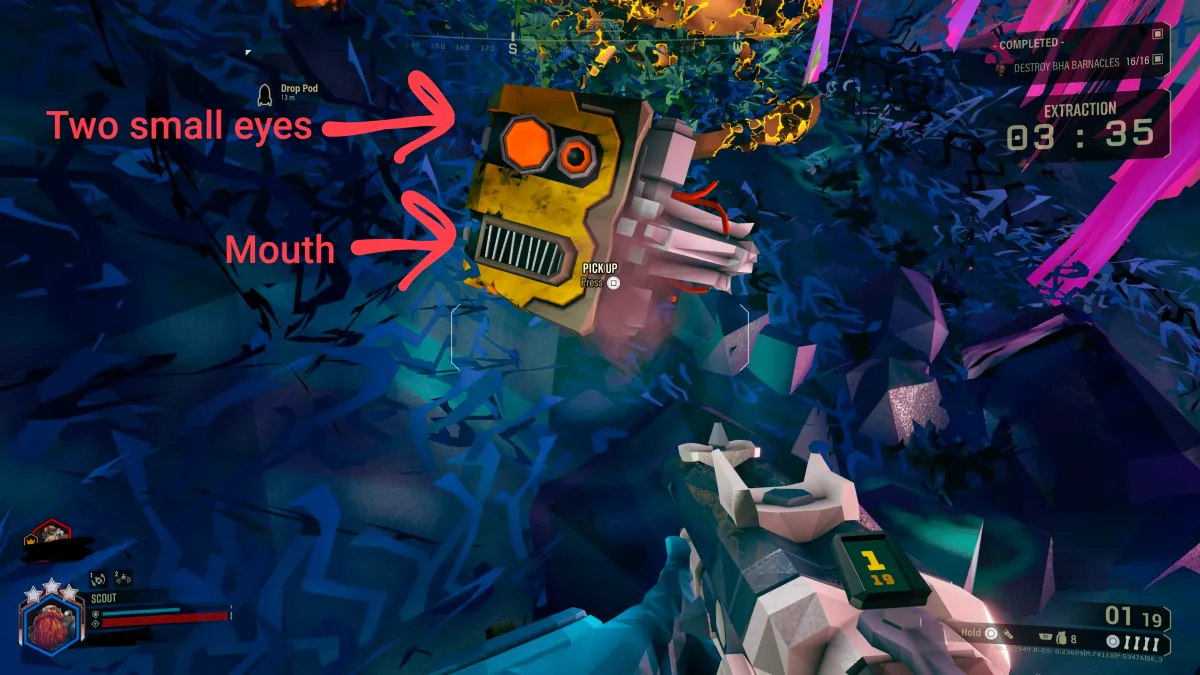 Dotty Head Design Explained: One Eye or Two?